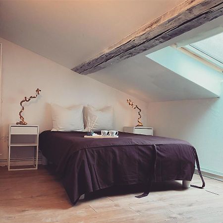 Superbe Duplex En Plein Coeur De Nancy 南锡 外观 照片