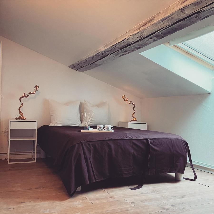 Superbe Duplex En Plein Coeur De Nancy 南锡 外观 照片